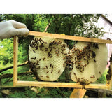 Darrahopens Gift & Novelty 5Kg Pure Australian Beeswax Natural Blocks Unrefined - Cosmetic Grade