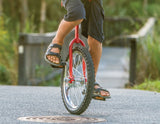 darrahopens Gift & Novelty > Games 24'' Pro Circus Unicycle Bike