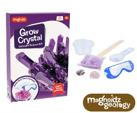 Darrahopens Gift & Novelty > Games Magnoidz Crystal Growing Kit