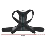 darrahopens Health & Beauty > Health & Wellbeing Lower Back Brace Unisex Posture Corrector Lumbar Support - Medium