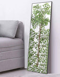 Darrahopens Health & Beauty > Makeup Mirrors Full-Length Mirror Long Standing for Bedroom and Bathroom (106 x 35 cm, Black)