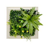 Darrahopens Home & Garden 3D Green Artificial Plants Wall Panel Flower Wall With Frame Vertical Garden UV Resistant 33X33CM Flourishing Spring
