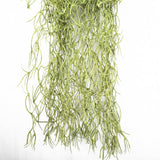 darrahopens Home & Garden > Artificial Plants Artificial Air Plant Spanish Moss - Old Man Beard 60cm