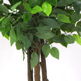 darrahopens Home & Garden > Artificial Plants Artificial Ficus Tree 180cm Nearly Natural UV Resistant