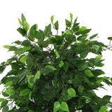 darrahopens Home & Garden > Artificial Plants Artificial Ficus Tree 180cm Nearly Natural UV Resistant