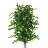darrahopens Home & Garden > Artificial Plants Artificial Ficus Tree 180cm Nearly Natural UV Resistant