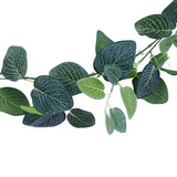 darrahopens Home & Garden > Artificial Plants Artificial Fittonia Garland 190cm
