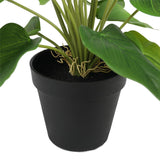 darrahopens Home & Garden > Artificial Plants Artificial Flowering White & Orange Peace Lily / Calla Lily Plant 50cm