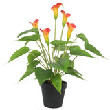darrahopens Home & Garden > Artificial Plants Artificial Flowering White & Orange Peace Lily / Calla Lily Plant 50cm