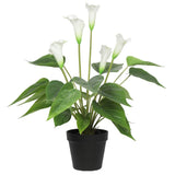 darrahopens Home & Garden > Artificial Plants Artificial Flowering White Peace Lily / Calla Lily Plant 50cm