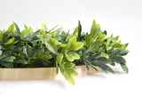 Darrahopens Home & Garden > Artificial Plants Artificial Green Wall Plant Garden Panel Daffodil Smile Disc Art 50cm Grassy  UV Resistant Frame