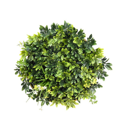 Darrahopens Home & Garden > Artificial Plants Artificial Green Wall Plant Garden Panel Daffodil Smile Disc Art 50cm Grassy  UV Resistant Frame