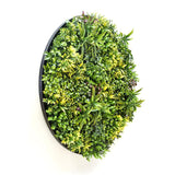 Darrahopens Home & Garden > Artificial Plants Artificial Green Wall Plant Panel Disc Garden Flower Art 100cm Grassy UV Resistant-Fireworks Black Frame