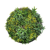 Darrahopens Home & Garden > Artificial Plants Artificial Green Wall Plant Panel Disc Garden Flower Art 100cm Grassy UV Resistant-Fireworks Black Frame