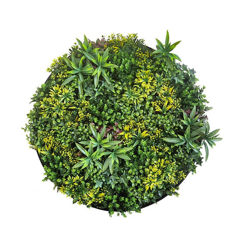 Darrahopens Home & Garden > Artificial Plants Artificial Green Wall Plant Panel Disc Garden Flower Art 100cm Grassy UV Resistant-Fireworks Black Frame