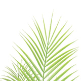 darrahopens Home & Garden > Artificial Plants Artificial Modern Bushy Areca Fern Tree 120cm