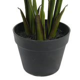 darrahopens Home & Garden > Artificial Plants Artificial Modern Bushy Areca Fern Tree 120cm