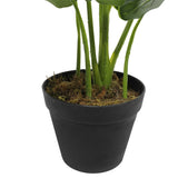 darrahopens Home & Garden > Artificial Plants Artificial Potted Taro Plant / Elephant Ear 55cm
