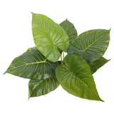 darrahopens Home & Garden > Artificial Plants Artificial Potted Taro Plant / Elephant Ear 55cm