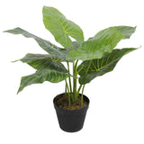 darrahopens Home & Garden > Artificial Plants Artificial Potted Taro Plant / Elephant Ear 55cm