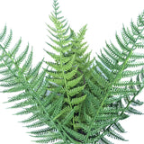 darrahopens Home & Garden > Artificial Plants Dark Fern Stem UV Resistant 38cm