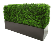 darrahopens Home & Garden > Artificial Plants Deluxe Portable Buxus (Bright) UV Resistant 100cm Long x 50cm High x 25cm Wide