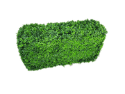 darrahopens Home & Garden > Artificial Plants Deluxe Portable Buxus (Bright) UV Resistant 100cm Long x 50cm High x 25cm Wide