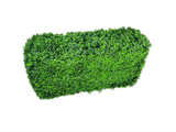 darrahopens Home & Garden > Artificial Plants Deluxe Portable Buxus (Bright) UV Resistant 100cm Long x 50cm High x 25cm Wide