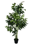 darrahopens Home & Garden > Artificial Plants Faux Fishtail Palm Tree 160cm