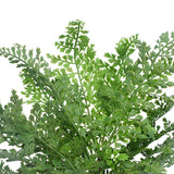 darrahopens Home & Garden > Artificial Plants Faux Maden Hair Fern Stem 40cm