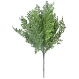 darrahopens Home & Garden > Artificial Plants Faux Maden Hair Fern Stem 40cm