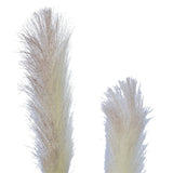 darrahopens Home & Garden > Artificial Plants Flowering Native Fox Tail Grass 120 cm