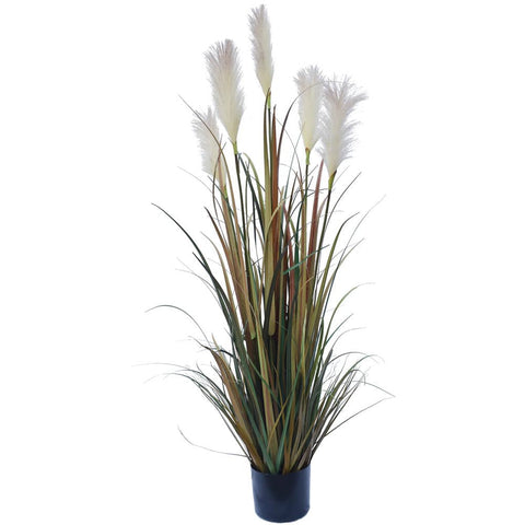 darrahopens Home & Garden > Artificial Plants Flowering Native Fox Tail Grass 120 cm