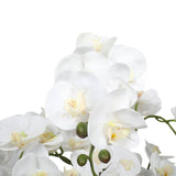 darrahopens Home & Garden > Artificial Plants Large Multi-Stem White Potted Faux Orchid 65cm