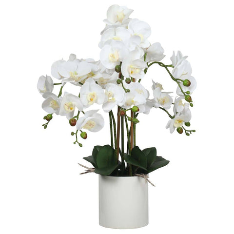 darrahopens Home & Garden > Artificial Plants Large Multi-Stem White Potted Faux Orchid 65cm