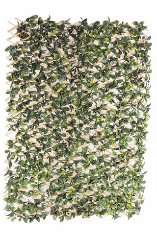 darrahopens Home & Garden > Artificial Plants Laurel Hedge Extendable Light Timber Trellis / Screen 2 Meter By 1 Meter UV Stabilised