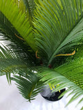 darrahopens Home & Garden > Artificial Plants Multi Trunk Sago Cycad 130cm