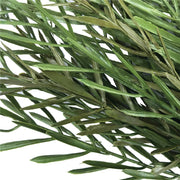 darrahopens Home & Garden > Artificial Plants Native Tea Tree Stem UV Resistant 45cm