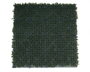 darrahopens Home & Garden > Artificial Plants Premium Natural Buxus Hedge Panels UV Resistant 1m x 1m