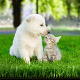 darrahopens Home & Garden > Artificial Plants Primeturf Artificial Grass 10mm 2mx10m 20sqm Synthetic Fake Turf Plants Plastic Lawn Olive