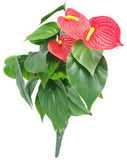 darrahopens Home & Garden > Artificial Plants Red Anthurium Bunch UV