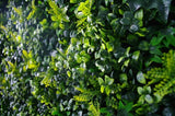 darrahopens Home & Garden > Artificial Plants Spring Sensation UV Stabilised 1m X 1m