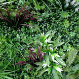 darrahopens Home & Garden > Artificial Plants Vista Green Vertical Garden Green Wall UV Resistant 100cm x 100cm