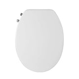 darrahopens Home & Garden > Bathroom Accessories Non Electric Bidet Toilet Seat Bathroom  - White