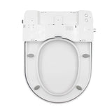 darrahopens Home & Garden > Bathroom Accessories Non Electric Bidet Toilet Seat W/ Cover Bathroom Washlet Spray Water Wash