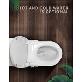 darrahopens Home & Garden > Bathroom Accessories Non Electric Bidet Toilet Seat W/ Cover Bathroom Washlet Spray Water Wash