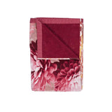 Darrahopens Home & Garden > Bedding Bedding House Festival Multi Cotton Velour Beach Towel