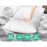 darrahopens Home & Garden > Bedding Giselle Bedding Goose Feather Down Twin Pack Pillow