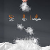 darrahopens Home & Garden > Bedding Giselle Bedding Queen Size 700GSM Goose Down Feather Quilt