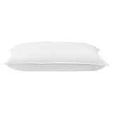 darrahopens Home & Garden > Bedding Giselle Bedding Set of 2 Duck Down Pillow - White